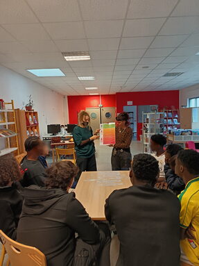 Bardanes floutage2.jpg